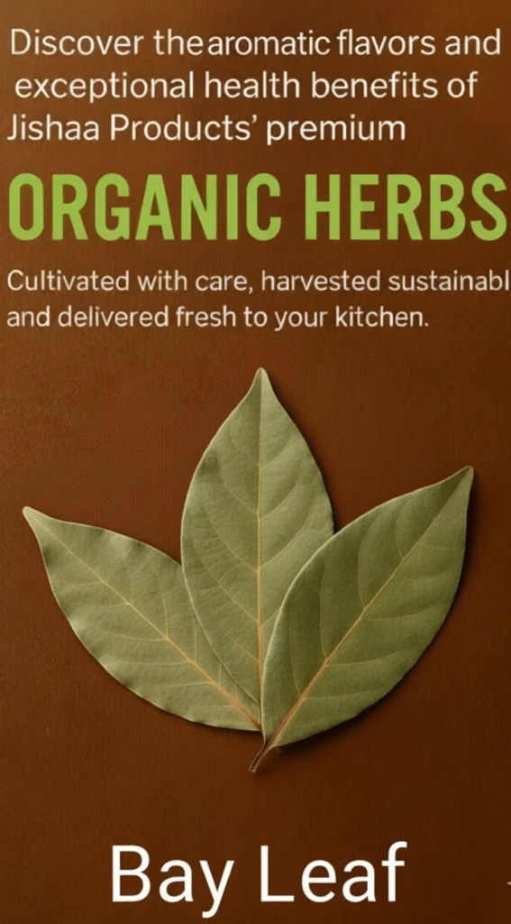 Organic Herbs – Natural Taste & Export Quality