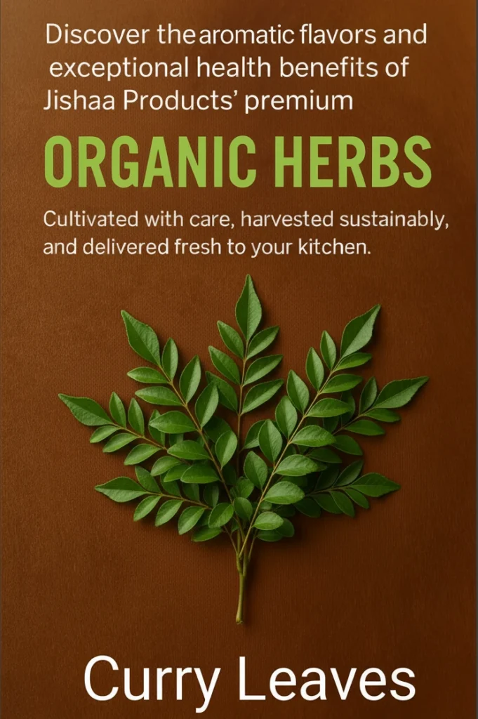 Organic Herbs – Natural Taste & Export Quality