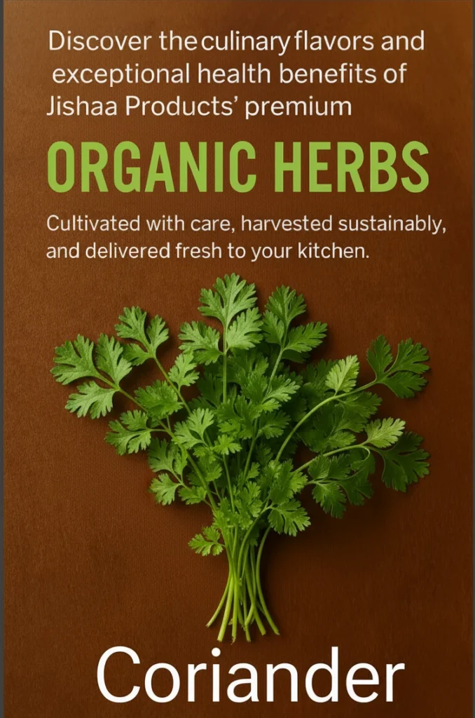 Organic Herbs – Natural Taste & Export Quality