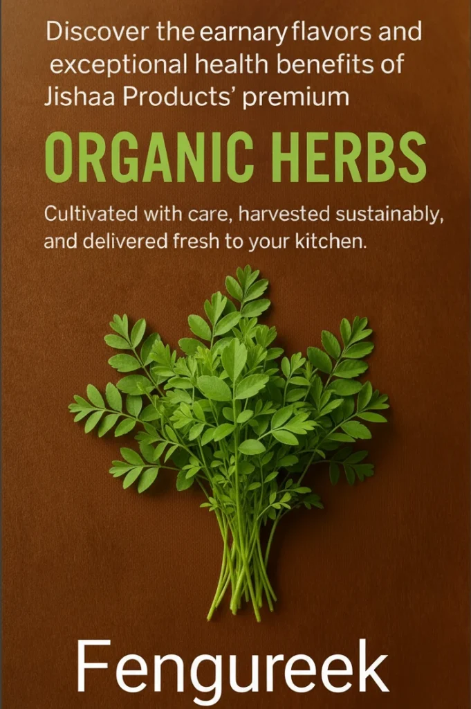Organic Herbs – Natural Taste & Export Quality