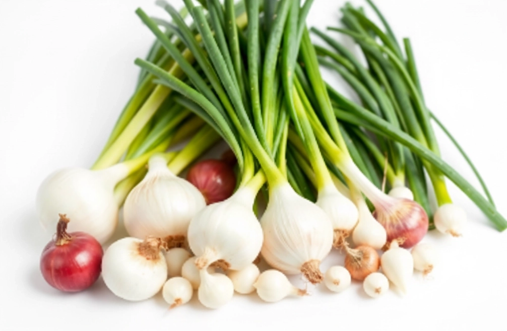 Dehydrated food exports in tamilnadu​